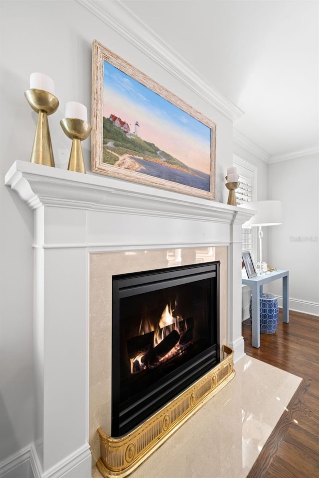 room details featuring baseboards, ornamental molding, wood finished floors, and a high end fireplace