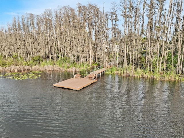 view of dock with a water view