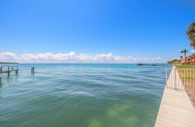 water view featuring a boat dock