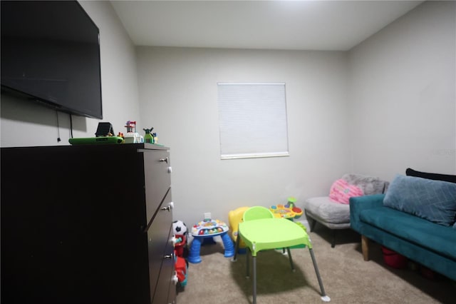 playroom with light carpet