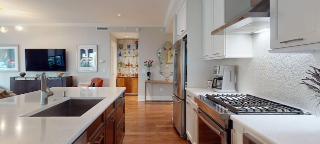 kitchen featuring a sink, visible vents, ornamental molding, ventilation hood, and appliances with stainless steel finishes