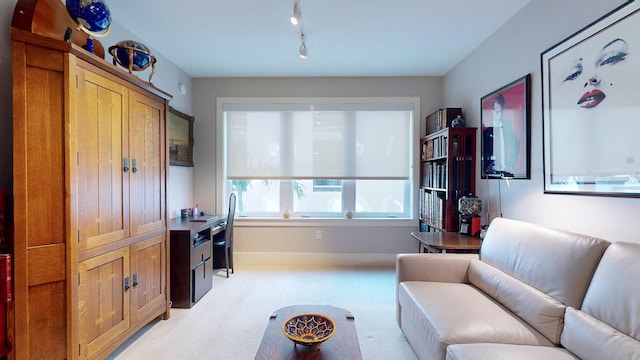 living area with light carpet, rail lighting, and baseboards