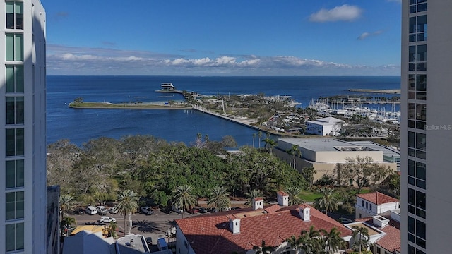 146 4th Ave NE Unit 204, Saint Petersburg, FL 33701 - property view of water