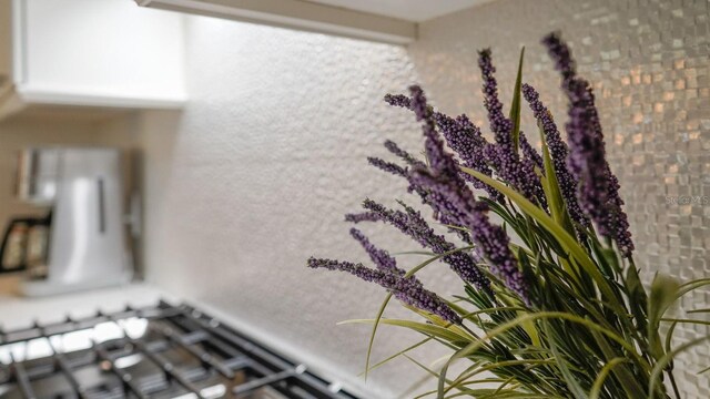 146 4th Ave NE Unit 204, Saint Petersburg, FL 33701 - view of interior details