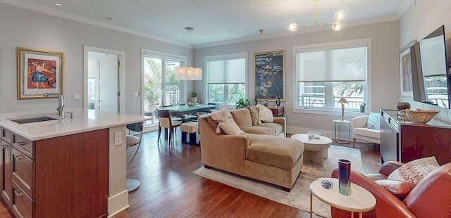 146 4th Ave NE Unit 204, Saint Petersburg, FL 33701 - living area with a healthy amount of sunlight, ornamental molding, and dark wood-style flooring