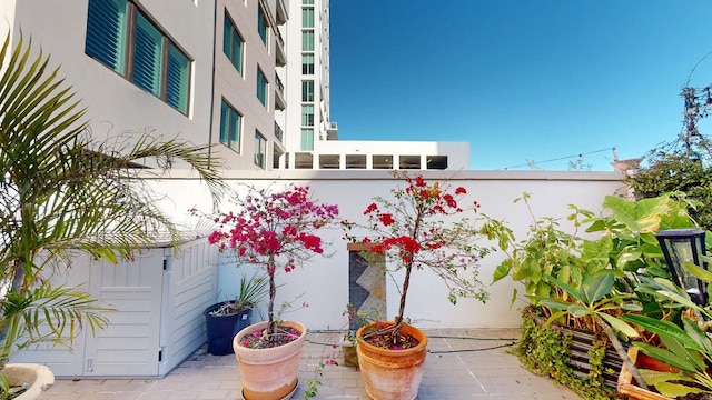 146 4th Ave NE Unit 204, Saint Petersburg, FL 33701 - exterior space