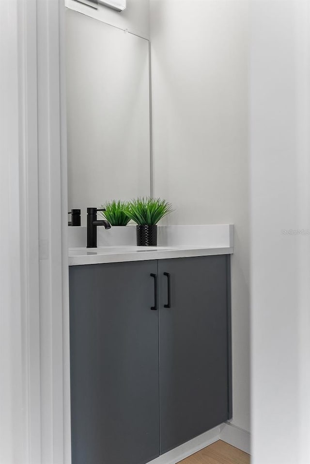 bathroom featuring wood finished floors and vanity