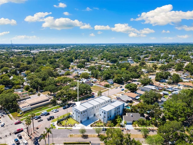 2205 16th St N, Saint Petersburg, FL 33704 - photo 50