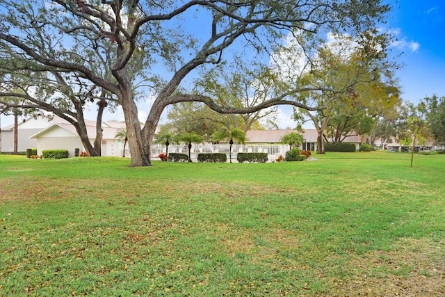 view of yard