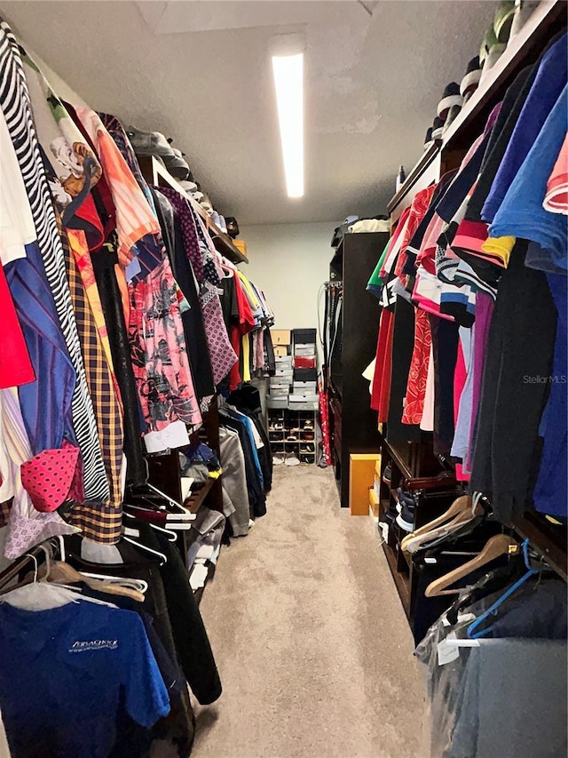 walk in closet with carpet