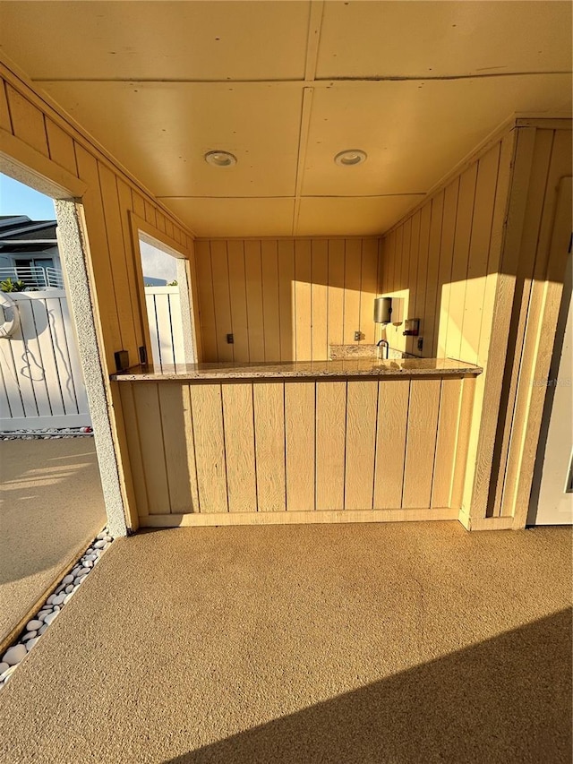 interior space featuring wooden walls and carpet