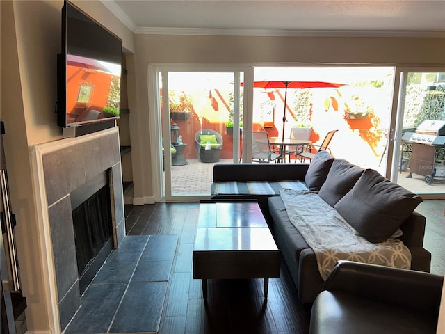 living room with dark wood-type flooring, ornamental molding, and a premium fireplace