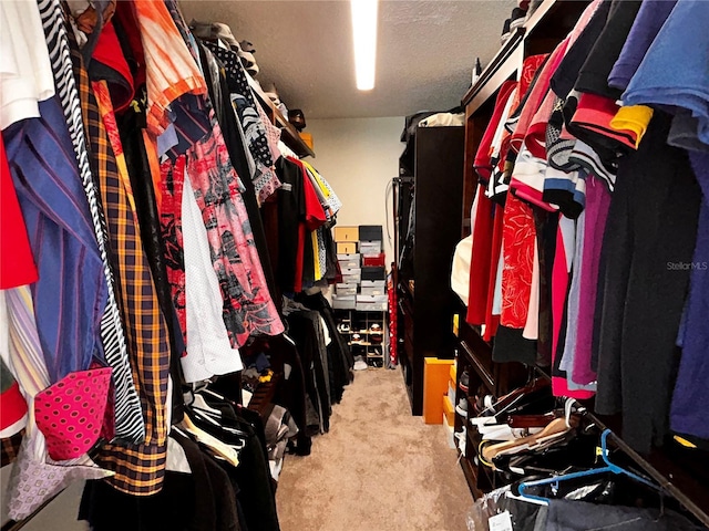 spacious closet with carpet flooring