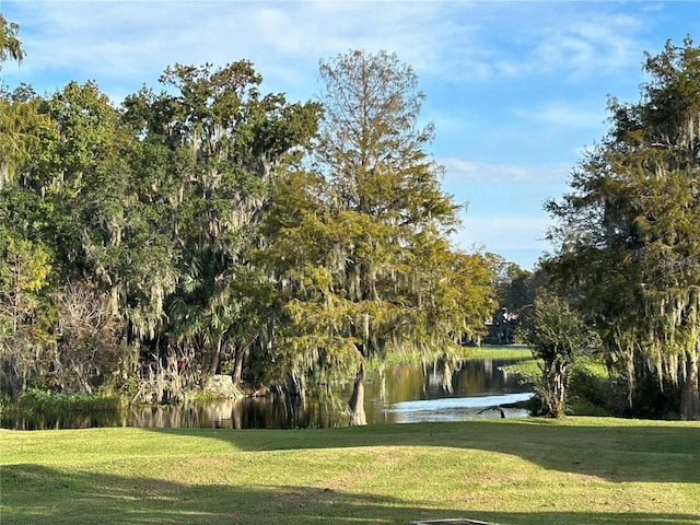 view of property's community featuring a water view and a lawn