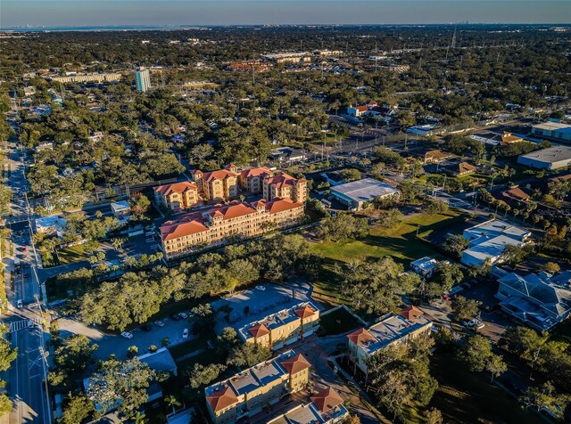 bird's eye view