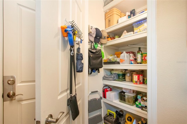 328 Siena Vista Pl, Sun City Center, FL 33573 - view of pantry