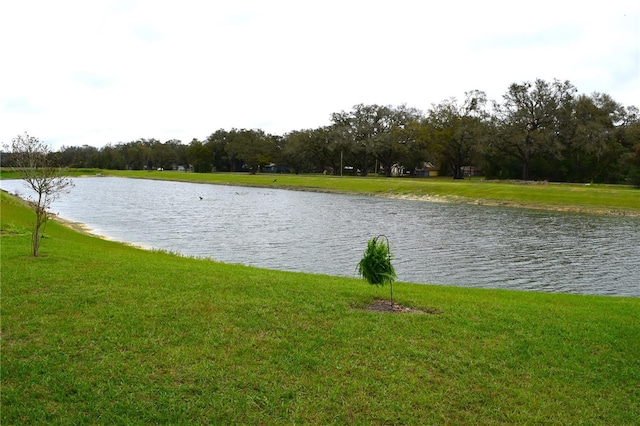 8438 Wheat Stone Dr, Zephyrhills, FL 33540 - photo 30