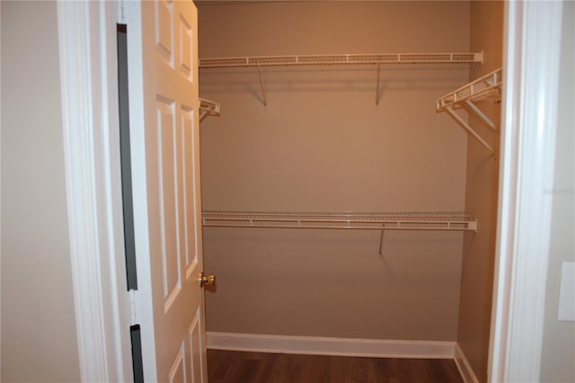 spacious closet featuring dark wood-style flooring