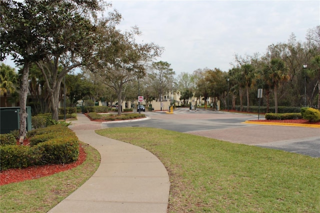 view of community with a lawn