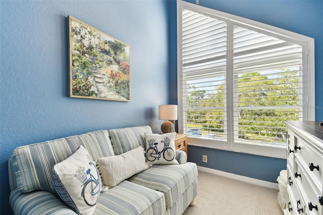 living area featuring a textured wall, baseboards, and light colored carpet