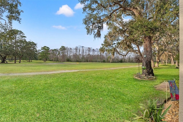 view of property's community with a yard