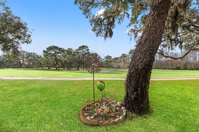 view of community featuring a lawn