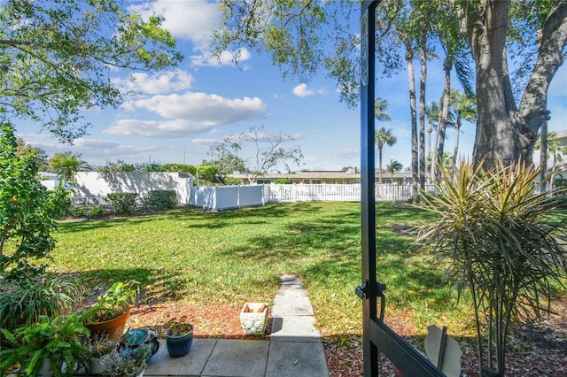 view of yard with a fenced backyard