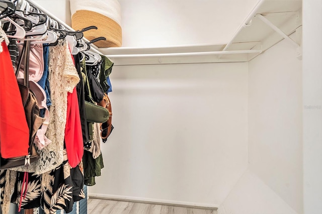 walk in closet featuring wood finished floors