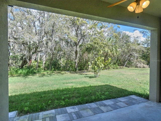17014 Oval Rum Dr, Wimauma, FL 33598 - photo 10