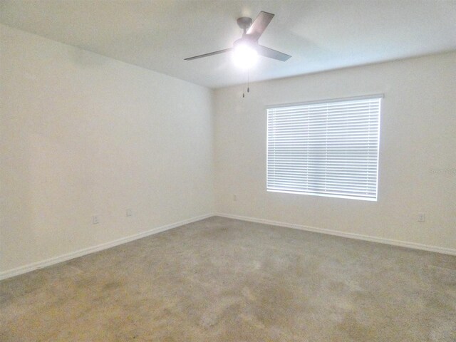 17014 Oval Rum Dr, Wimauma, FL 33598 - photo 15