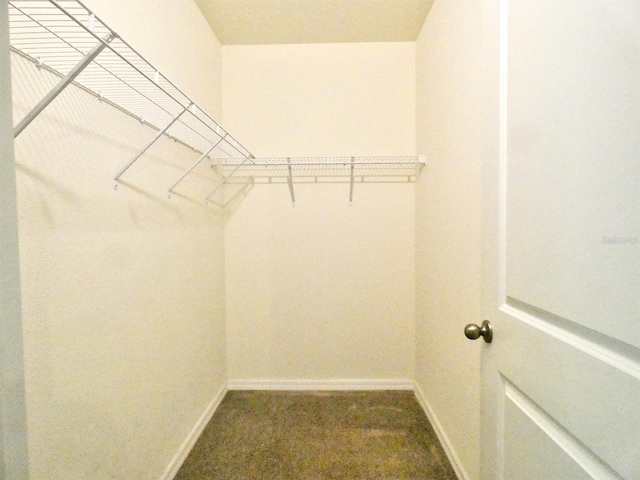 17014 Oval Rum Dr, Wimauma, FL 33598 - photo 16