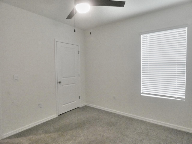 17014 Oval Rum Dr, Wimauma, FL 33598 - photo 20