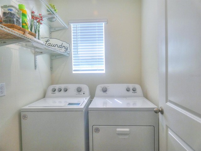 17014 Oval Rum Dr, Wimauma, FL 33598 - photo 28