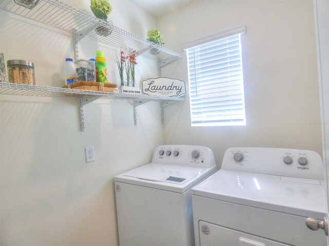 17014 Oval Rum Dr, Wimauma, FL 33598 - photo 29