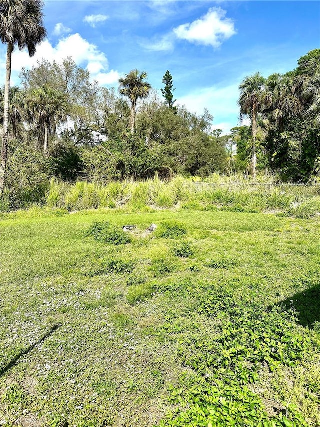 954 Fordson Ave, Labelle, FL 33935 - view of yard