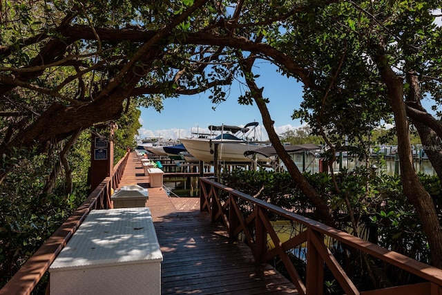 dock area with a water view