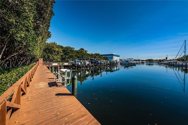 dock area featuring a water view