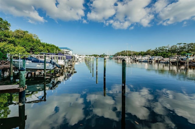 view of dock with a water view