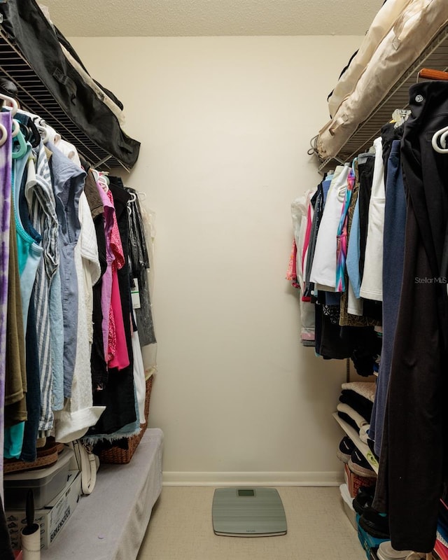 view of spacious closet