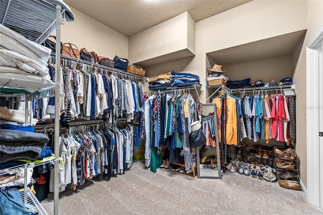 walk in closet with carpet floors