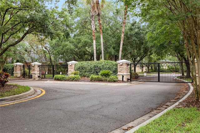 15912 Ternglade Dr, Lithia, FL 33547 - view of asphalt road with a gate, curbs, and a gated entry