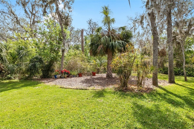 15912 Ternglade Dr, Lithia, FL 33547 - view of grassy yard