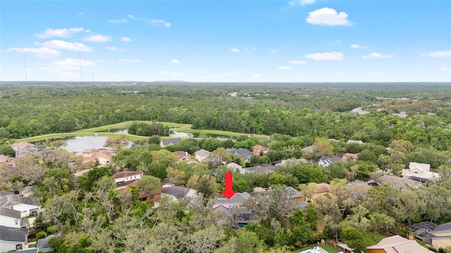15912 Ternglade Dr, Lithia, FL 33547 - view of property location featuring a heavily wooded area, a large body of water, and nearby suburban area