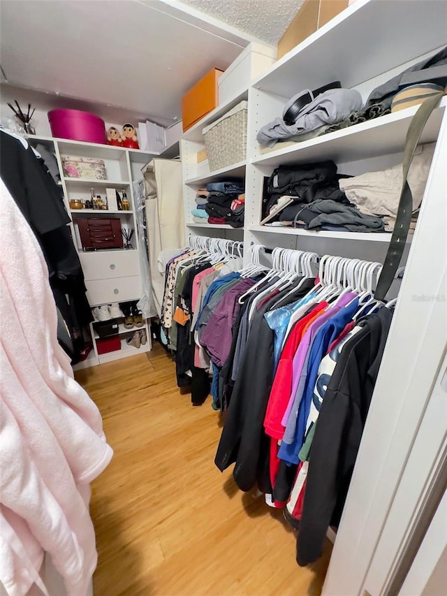 walk in closet featuring wood finished floors