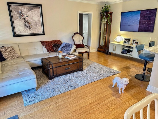 living room with baseboards, crown molding, and wood finished floors