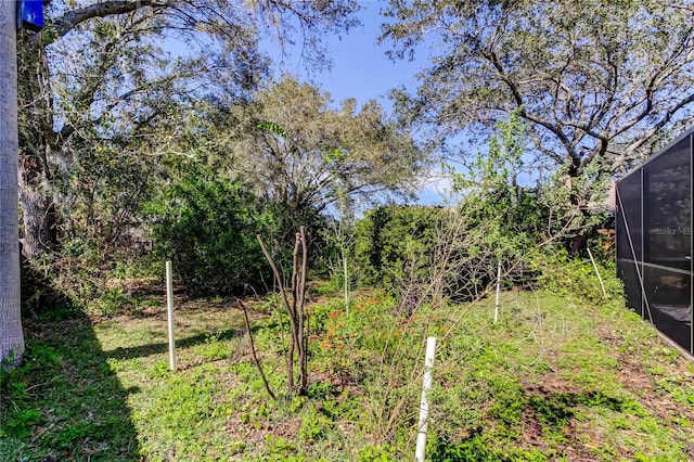 view of yard with a lanai