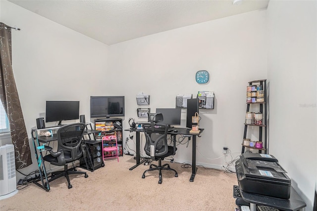 10604 Scenic Hollow Dr, Riverview, FL 33578 - carpeted office space with baseboards