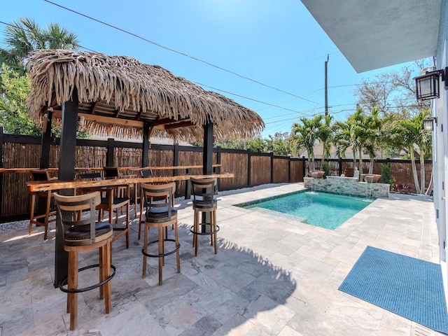 view of pool with a patio area, a fenced backyard, and a fenced in pool