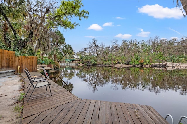 dock area with a water view