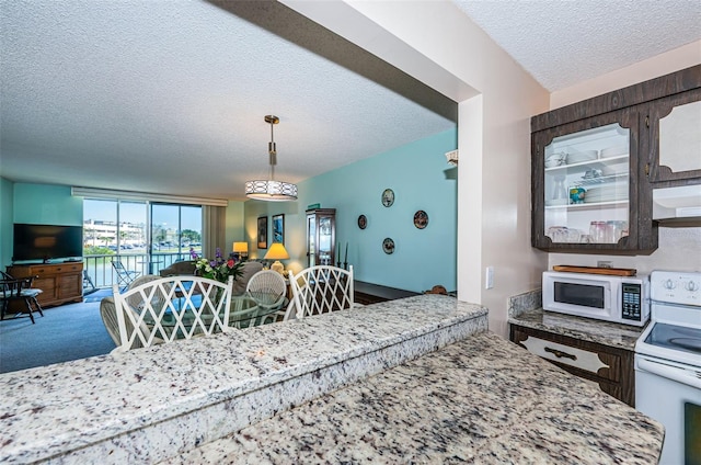 dining room featuring a textured ceiling and carpet floors